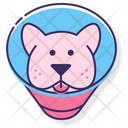 پیش‌نمایش فایل dog-cone-2533971 از پک دامپزشکی