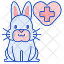 پیش‌نمایش فایل rabbit-vet-2533814 از پک دامپزشکی