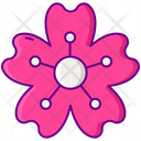 پیش‌نمایش فایل sakura-flower-2583397 از پک جشنواره شکوفه گیلاس