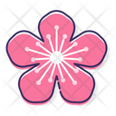 پیش‌نمایش فایل peach-flower-2583461 از پک جشنواره شکوفه گیلاس