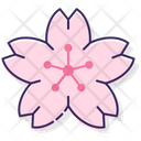 پیش‌نمایش فایل sakura-flower-2583454 از پک جشنواره شکوفه گیلاس