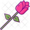 پیش‌نمایش فایل rose-2586696 از پک اپلیکیشن دوست‌یابی
