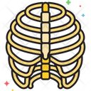 پیش‌نمایش فایل bones-2626660 از پک نفت CBD