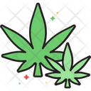 پیش‌نمایش فایل marijuana-2626626 از پک نفت CBD