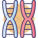 پیش‌نمایش فایل chromosome-2626490 از پک مهندسی زیستی