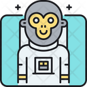 پیش‌نمایش فایل moneky-in-space-2683504 از پک فضا