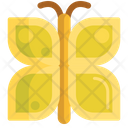 پیش‌نمایش فایل butterfly-2717779 از پک سفر