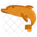پیش‌نمایش فایل dolphin-2717765 از پک سفر