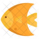 پیش‌نمایش فایل fish-2717760 از پک سفر
