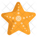 پیش‌نمایش فایل starfish-2717717 از پک سفر