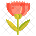 پیش‌نمایش فایل carnation-2718024 از پک باغبانی
