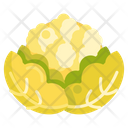 پیش‌نمایش فایل cauliflower-2718022 از پک باغبانی