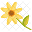 پیش‌نمایش فایل daisies-2718015 از پک باغبانی
