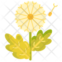 پیش‌نمایش فایل dandelion-2718014 از پک باغبانی