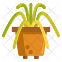 پیش‌نمایش فایل spider-plant-2717949 از پک باغبانی