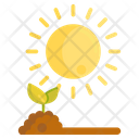 پیش‌نمایش فایل sunlight-2717942 از پک باغبانی