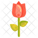 پیش‌نمایش فایل tulip-2717937 از پک باغبانی