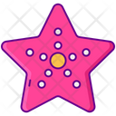 پیش‌نمایش فایل starfish-2717300 از پک سفرهای تابستانی