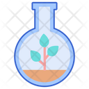 پیش‌نمایش فایل botany-2717588 از پک علم
