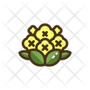 پیش‌نمایش فایل cauliflower-2751163 از پک باغبانی