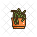 پیش‌نمایش فایل spider-plant-2751095 از پک باغبانی