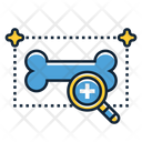 پیش‌نمایش فایل bone-density-testing-2751377 از پک سلامت زنان مردان
