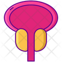 پیش‌نمایش فایل enlarged-prostate-2751440 از پک سلامت زنان مردان
