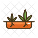 پیش‌نمایش فایل germination-2753359 از پک ماری‌جوانا