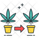 پیش‌نمایش فایل cloning-2753452 از پک ماری‌جوانا