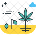 پیش‌نمایش فایل germination-2753442 از پک ماری‌جوانا