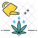پیش‌نمایش فایل water-2753384 از پک ماری‌جوانا