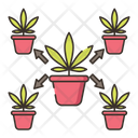 پیش‌نمایش فایل cloning-2753536 از پک ماری‌جوانا