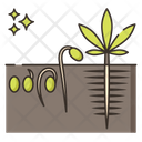پیش‌نمایش فایل germination-2753526 از پک ماری‌جوانا