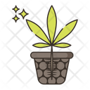 پیش‌نمایش فایل hydroponics-2753521 از پک ماری‌جوانا
