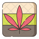پیش‌نمایش فایل jamaica-2753515 از پک ماری‌جوانا