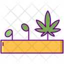 پیش‌نمایش فایل germination-2753890 از پک ماری‌جوانا