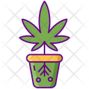 پیش‌نمایش فایل hydroponics-2753885 از پک ماری‌جوانا