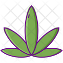 پیش‌نمایش فایل indica-2753884 از پک ماری‌جوانا