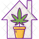 پیش‌نمایش فایل indoors-2753883 از پک ماری‌جوانا
