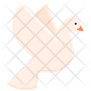 پیش‌نمایش فایل dove-2753701 از پک عروسی