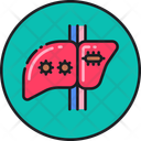 پیش‌نمایش فایل hepatitis-2755757 از پک توسعه پایدار