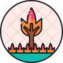 پیش‌نمایش فایل wildfire-2755678 از پک توسعه پایدار