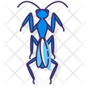 پیش‌نمایش فایل praying-mantis-2770453 از پک حیوانات