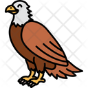 پیش‌نمایش فایل eagle-2770591 از پک حیوانات