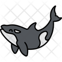 پیش‌نمایش فایل killer-whale-2770572 از پک حیوانات