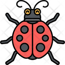 پیش‌نمایش فایل ladybug-2770569 از پک حیوانات