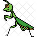 پیش‌نمایش فایل praying-mantis-2770547 از پک حیوانات