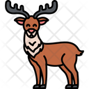 پیش‌نمایش فایل reindeer-2770541 از پک حیوانات