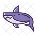 پیش‌نمایش فایل shark-2781783 از پک سفر
