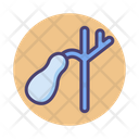 پیش‌نمایش فایل gall-bladder-2788189 از پک پزشکی